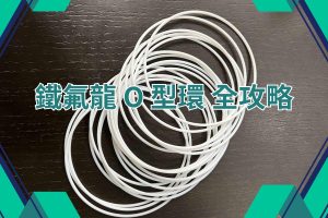 鐵氟龍 O 型環